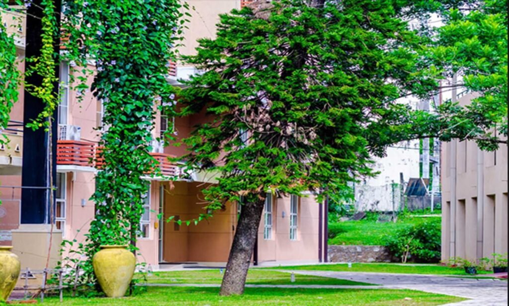 Faculty of Social Science